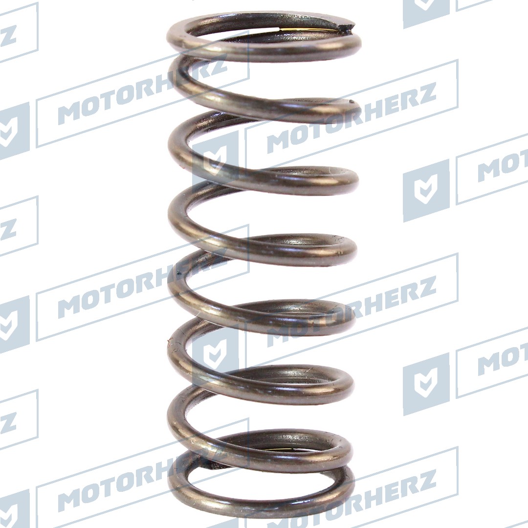 Пружина - Motorherz HLL00599
