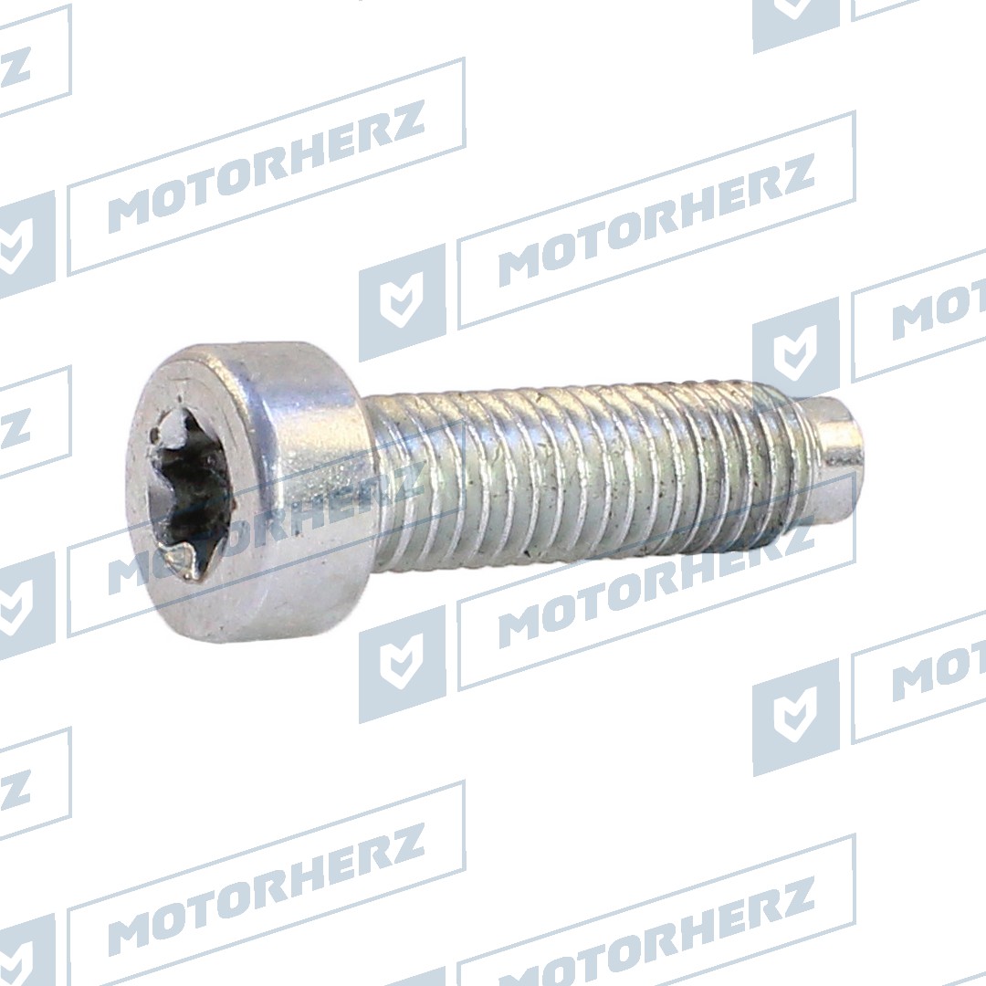 Болт рулевого агрегата - Motorherz HLL00619