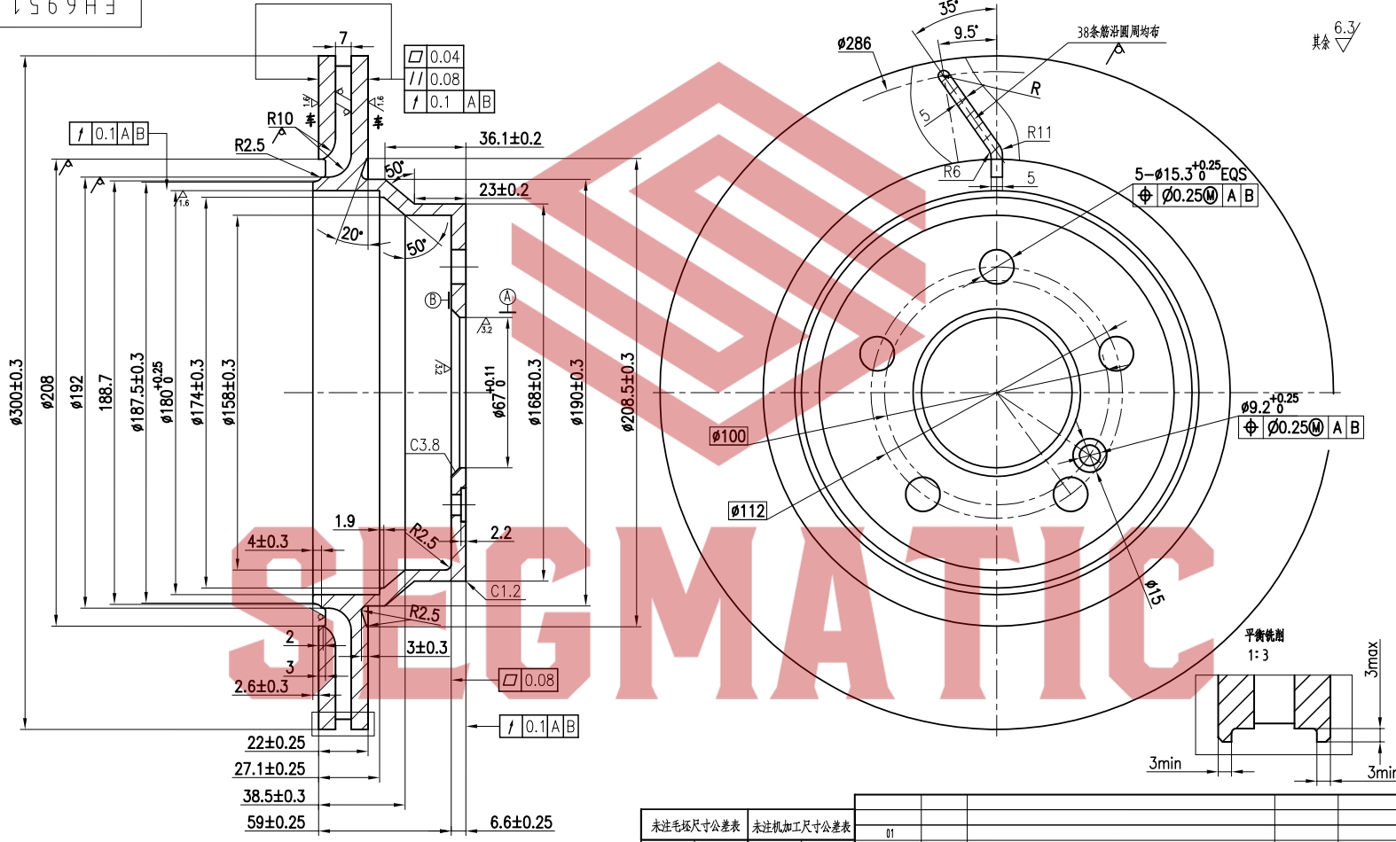 Диск тормозной задний - SEGMATIC SBD30093214