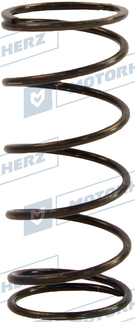 Пружина - Motorherz HLL00276