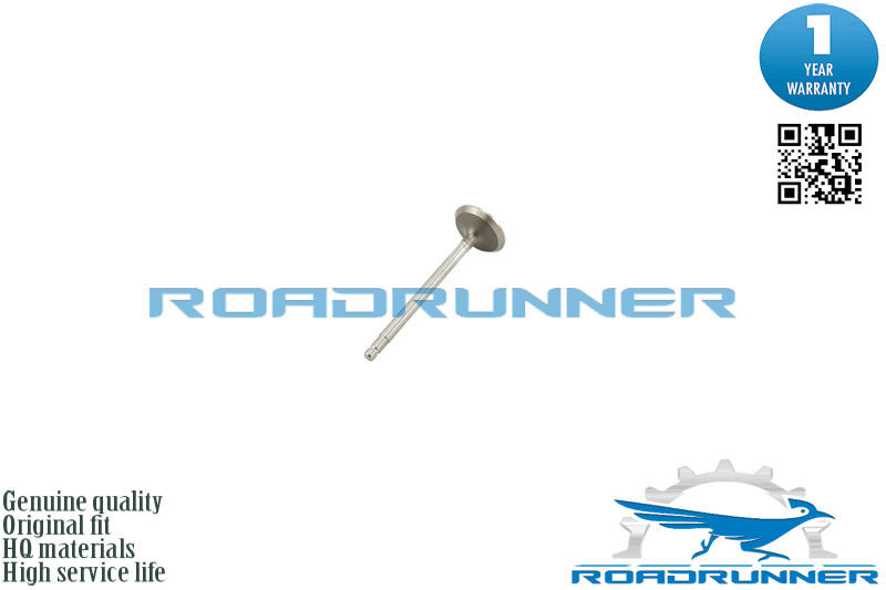 Клапан выпускной - RoadRunner RR13202AR000
