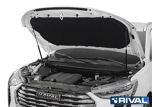 Амортизаторы капота (2шт.) Haval Jolion 2021- - Rival AST94031