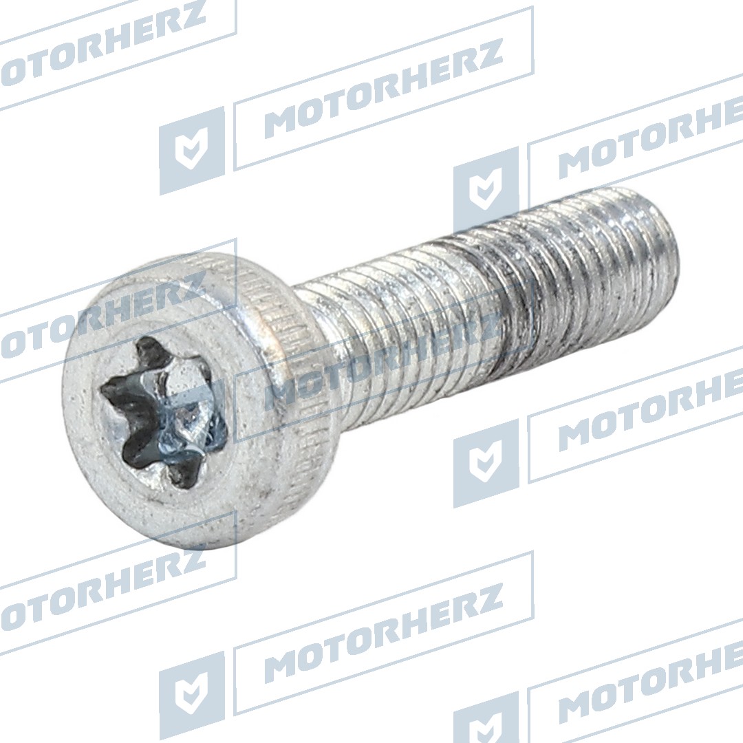 Болт рулевого агрегата - Motorherz HLL00975