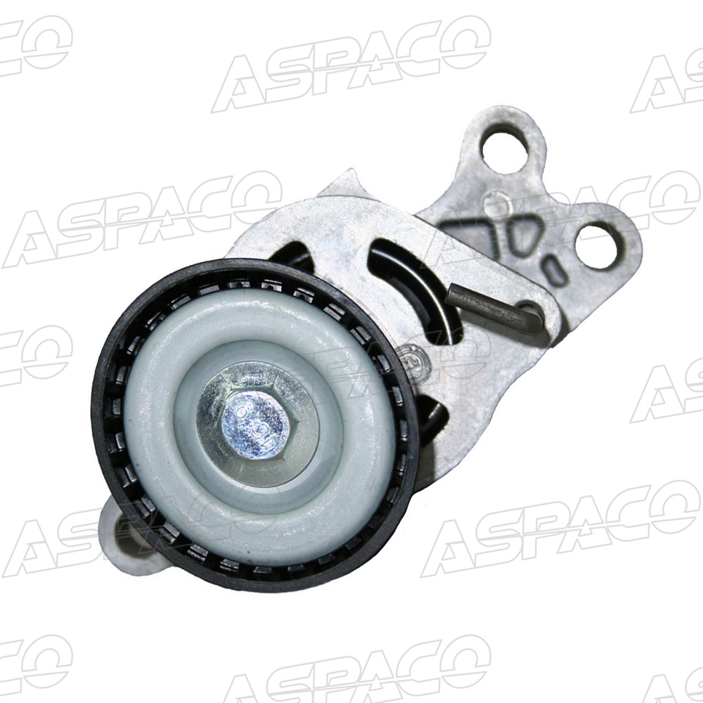 Ролик приводного ремня с натяжным механизмом peugeot 206 1.1-1.6 98 - Aspaco AP96520466