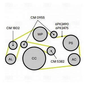 Ролик привод. ремня для а/м VW Touareg II (10-)/Audi Q7 (06-) 2.7d/3.0d (опор.) - Trialli CM 0955