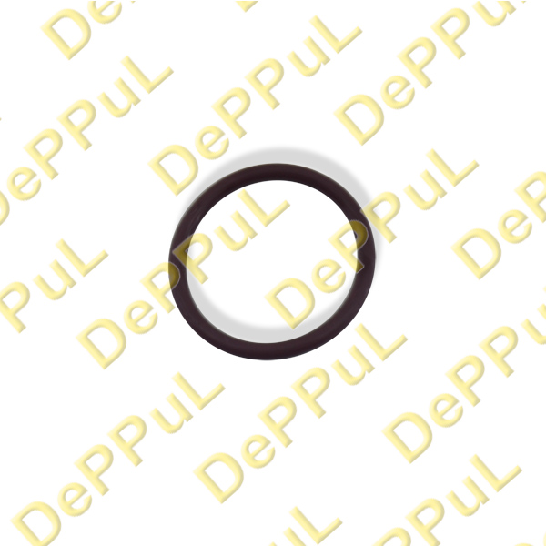 Кольцо уплотнительное (D = 23мм) BMW - DePPuL DEBZ0363