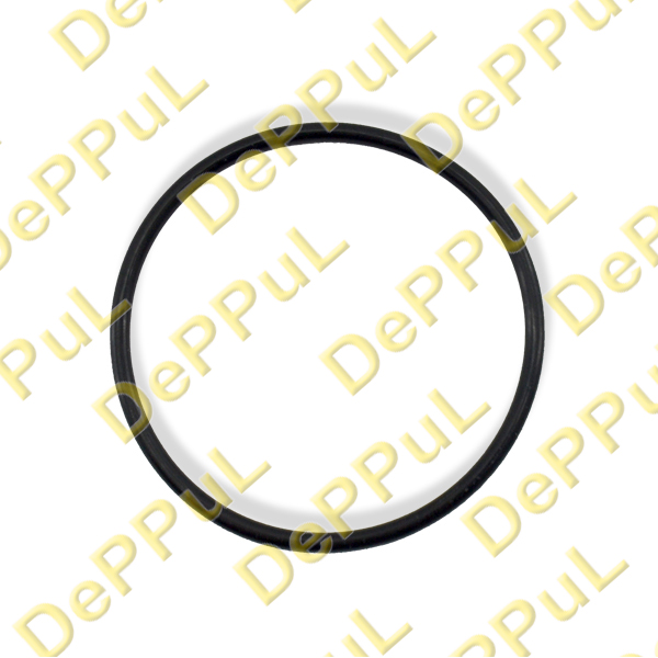 Кольцо уплотнительное насоса топливного volvo C70 (06...), S40 (04...), S60 (11...), S80 (07...) - DePPuL DEBZ0701