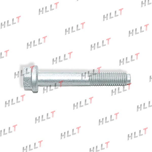 Болт с шестигранной головкой BMW 3e90, 5e60, X5 E70 - HLLT HLL00181