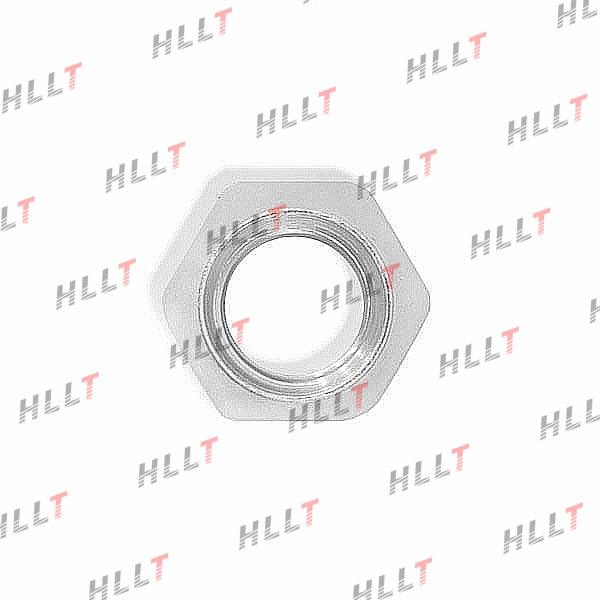 Гайка ford s-max (06-...) - HLLT HLL00193