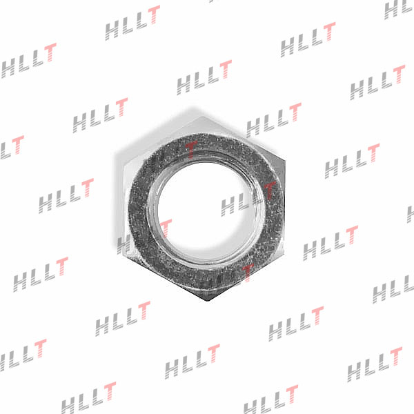 Гайка honda - HLLT HLL00194