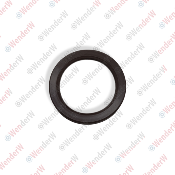 Сальник акпп land rover freelander 2 (07-…) - WENDERW WECL003