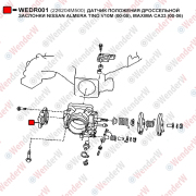 Датчик положения дроссельной заслонки nissan almera tino v10m (00-05), maxima ca33 (00-06) - WENDERW WEDR001