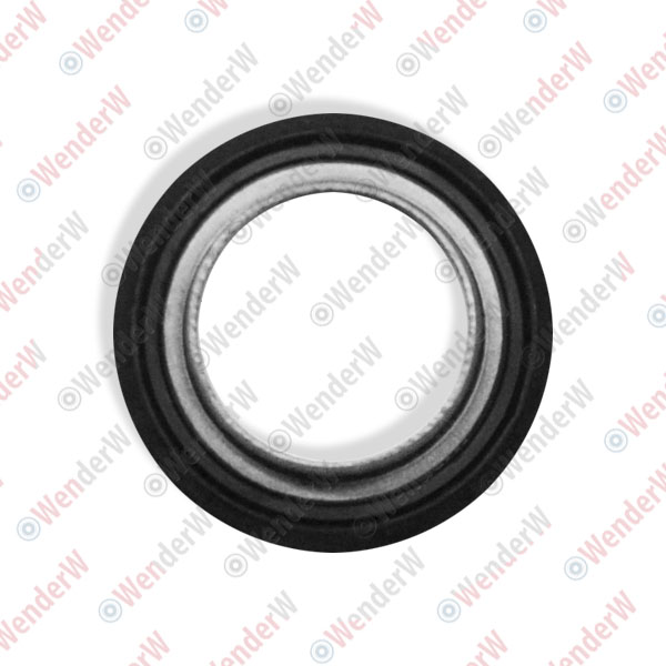 Кольцо уплотнительное nissan infiniti m35/45 (06-10) - WENDERW WEKK087