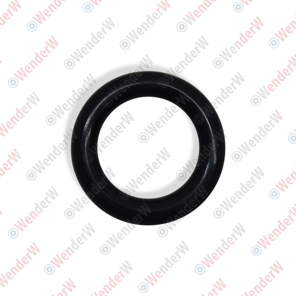 Кольцо уплотнительное ford c-max (07-10) - WENDERW WEKK120