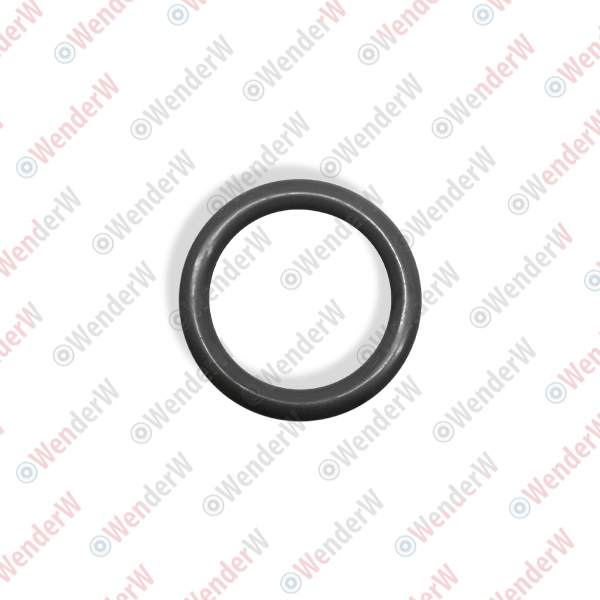 Кольцо уплотнительное маслозаливной пробки nissan almera-tino (00-05) - WENDERW WEKK152