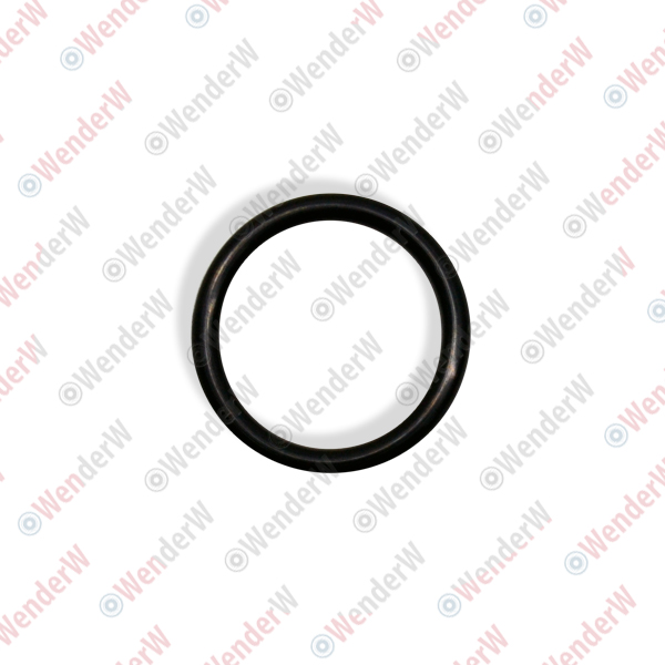 Кольцо уплотнительное nissan almera-tino (00-05) - WENDERW WEKK154