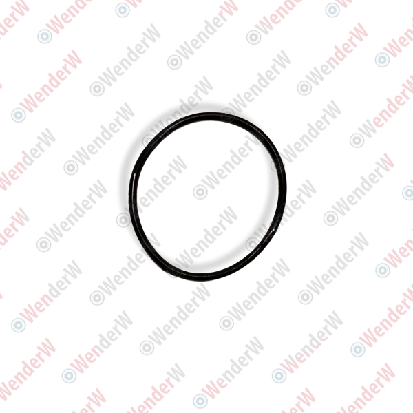 Кольцо уплотнительное крышки ГБЦ mercedes w209, w212 (09…), w220 (98-05) - WENDERW WEKK229