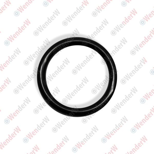 Кольцо уплотнительное nissan almera (12...), micra (02-10), qashqai (13...) - WENDERW WEKK251