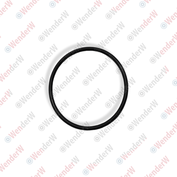 Кольцо уплотнительное топливного насоса volvo C70 (06...), S40 (04...), S60 (11...), S80 (07...) - WENDERW WEKLC014
