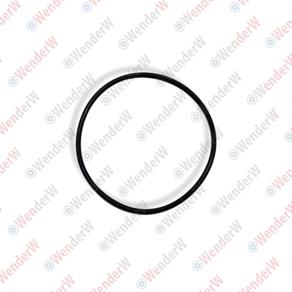 Кольцо уплотнительное топливного насоса nissan cabstar (06…), navara (05…), pathfinder (05-15) - WENDERW WEKLC025