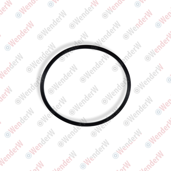 Кольцо уплотнительное BMW e60/e61/e63/e64/e65, X3 - WENDERW WEKLC032
