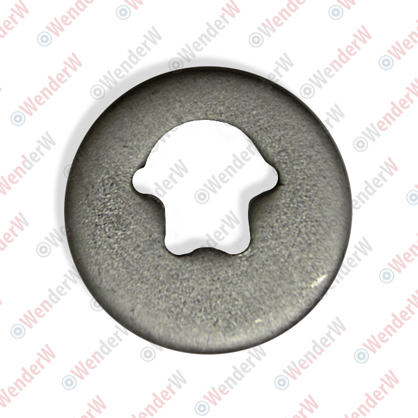 Шайба эксцентриковая BMW 1e87/e81 (04-11), 3e90/e91 (05-12), 5e60/e61 (03-09), X3 F25 (10-…) - WENDERW WEL084