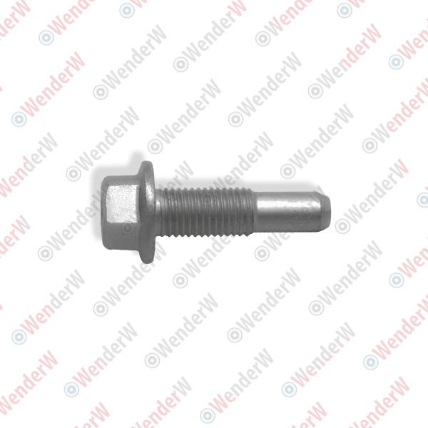 Болт акпп mazda 5 (cr) (05-10), 6 (gg) (02-07), 323 (bj) (98-02) - WENDERW WEL288