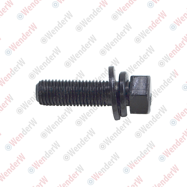 Болт (m10 х 35 - Z1 - 10,9) BMW - WENDERW WEL295