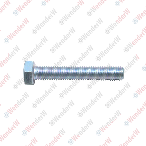 Болт mercedes (м10х60) w204, 210, 211, 215 - WENDERW WEL301