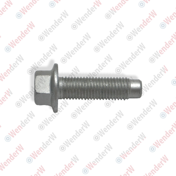 Болт (m10x35) audi A6, A8, Q7 - WENDERW WEL341