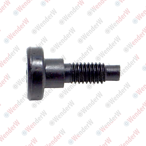 Винт volvo S60 (01…), S80 (98-06) - WENDERW WEL386
