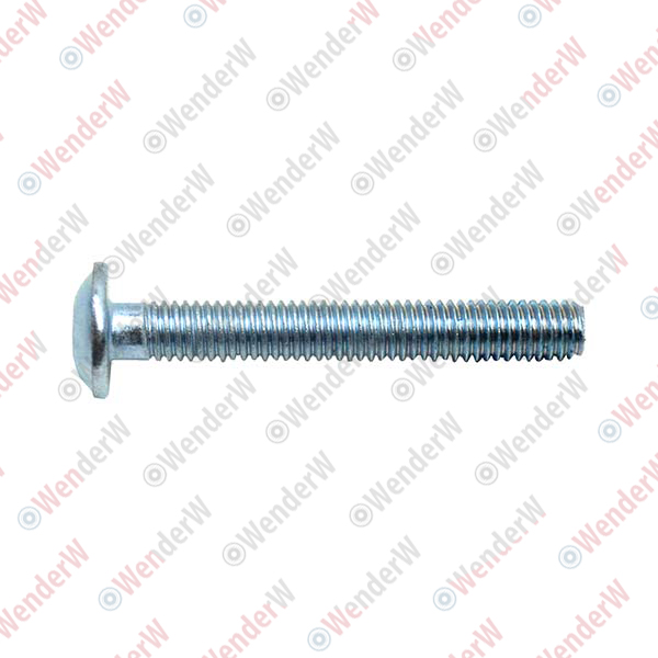 Винт крепежный ford fusion (02-12) - WENDERW WEL387