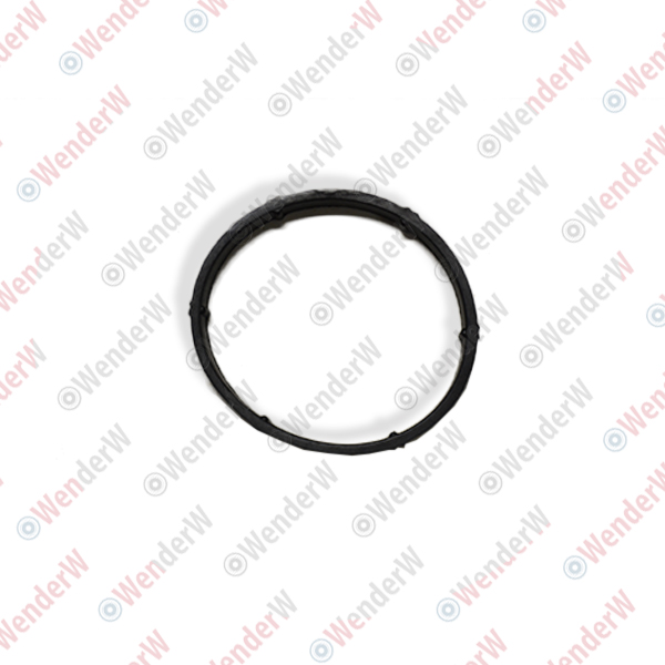 Прокладка впускного коллектора seat leon (1m1) (99-06), VW polo (95-02) - WENDERW WEPR0044