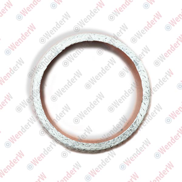 Кольцо уплотнительное lexus RX 300 (98-03) 68.5х54.5х14.5 - WENDERW WEPR0089