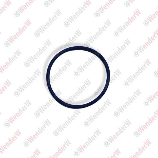 Прокладка топливного насоса audi A1 (11-14), A4 (08-18), A6 (07-18), VW caddy (11-15), golf - WENDERW WEPR0594