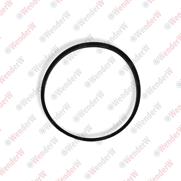 Прокладка дроссельной заслонки citroen xsara, C5 (00-08), peugeot expert - WENDERW WEPR0596
