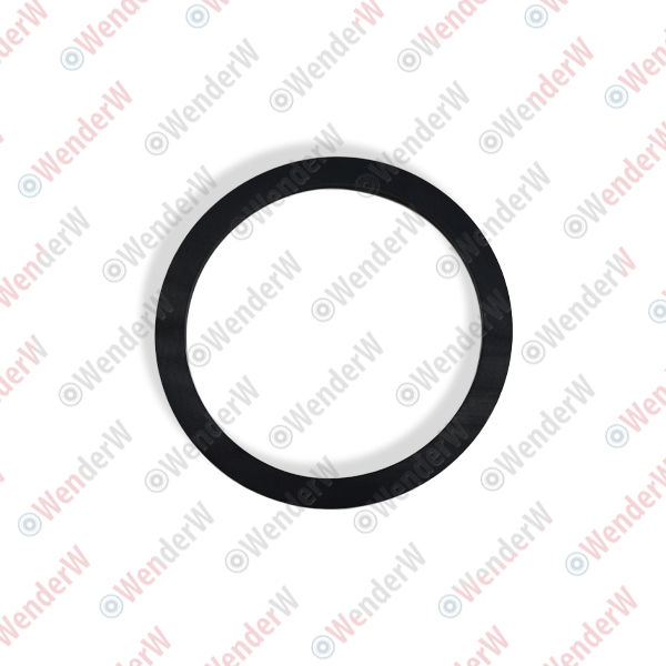 Прокладка топливного насоса mitsubishi pajero/montero (07-10) - WENDERW WEPR0598