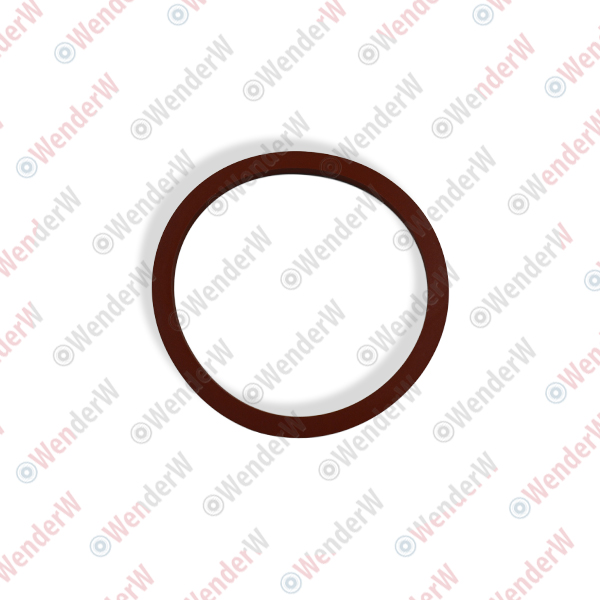 Прокладка топливного насоса mazda 3 (08…), 6 (12…), cx-5 (11…) - WENDERW WEPR0599