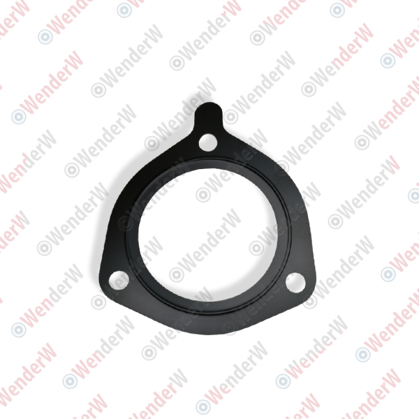 Прокладка топливного насоса BMW X3 E83 (04-10), X5 E53 (00-07) - WENDERW WEPR0641