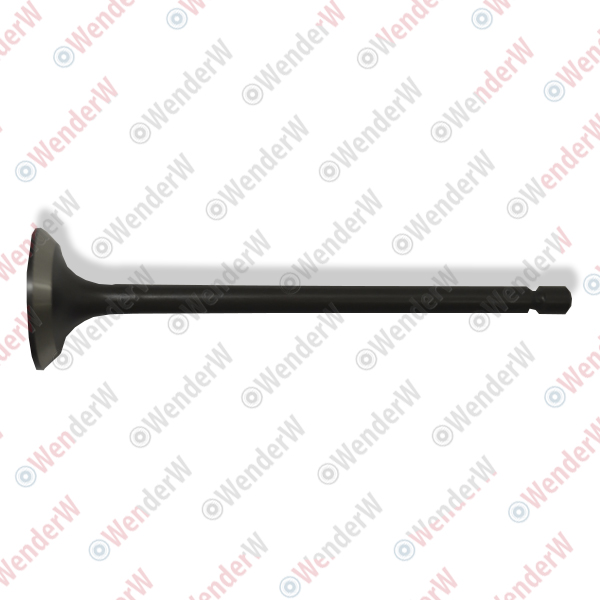 Клапан выпускной mitsubishi l200 (kb) (06-16) - WENDERW WERR0034