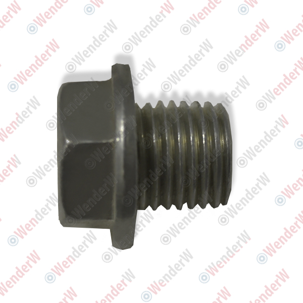 Пробка масляного поддона mitsubishi outlander (cu) (01-08) Тест - WENDERW WERR037