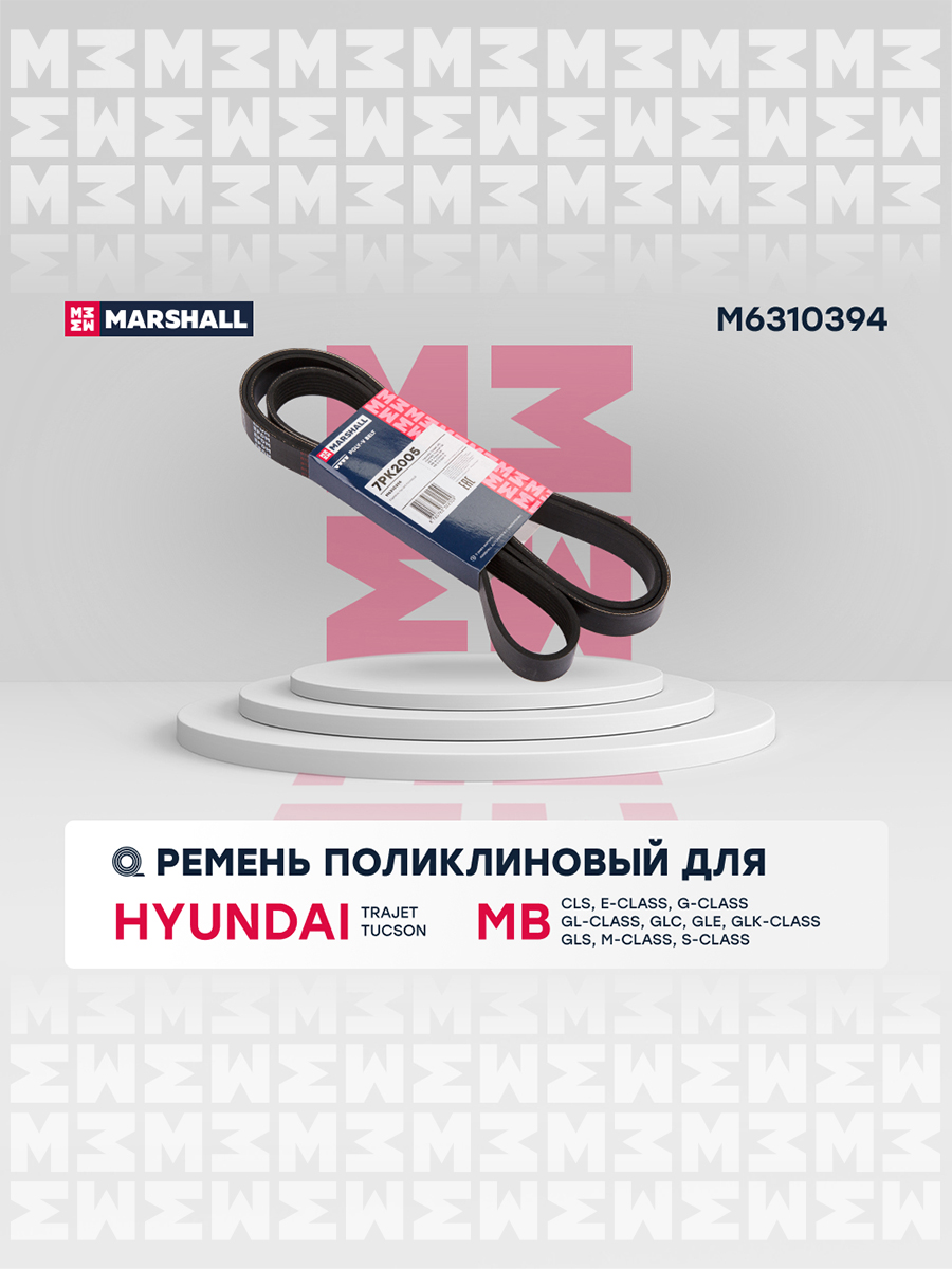 Ремень поликлиновой - Marshall M6310394