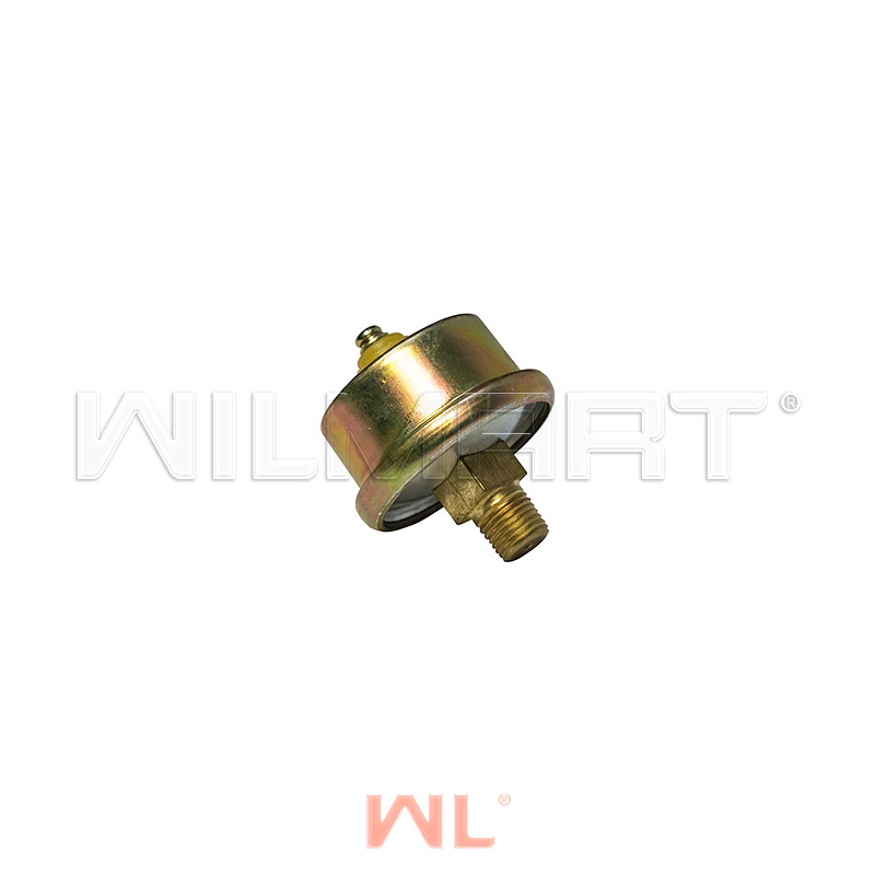 Датчик давления масла LuoTuo 4108 () - WILMART 6RQ2020031