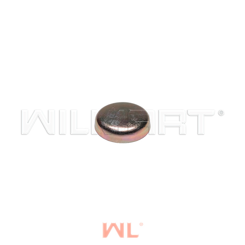 Заглушка Xinchai 490bpg Ф40 блок (4шт на двс) () - WILMART 490B-01079