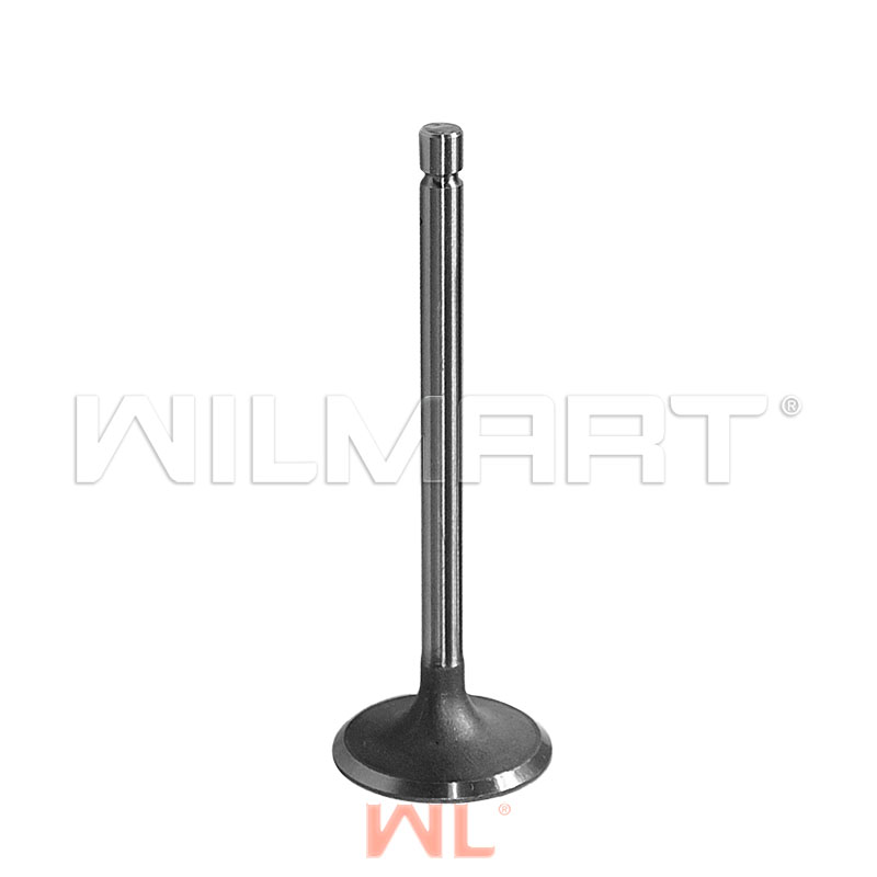 Клапан Xinchai 495bpg впускной Ф42/ф8 () - WILMART 495B-03014