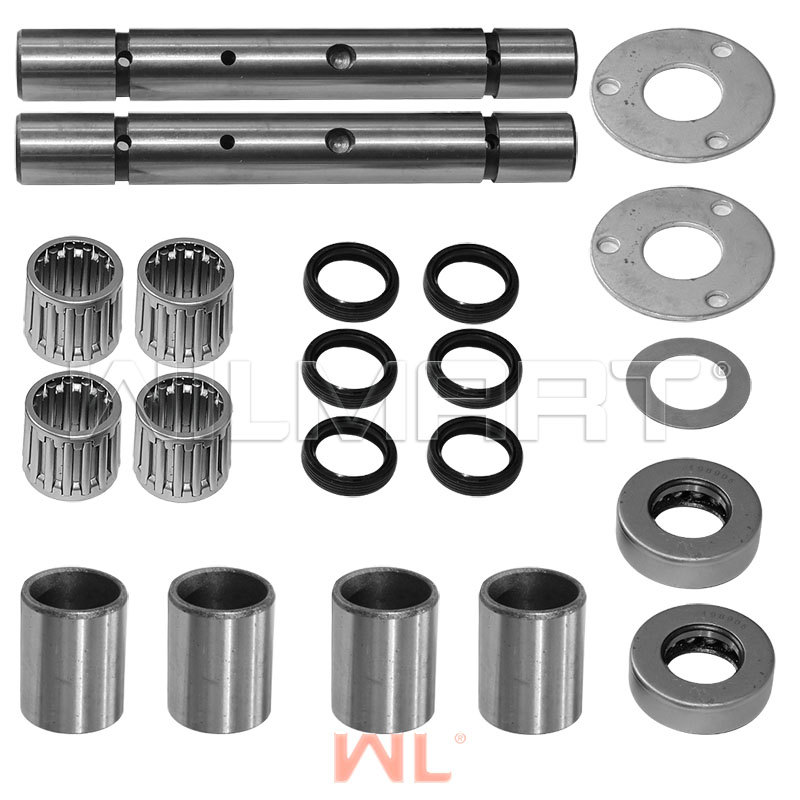 Ремкомплект шкворня HC 10-18 () - WILMART N030-220002-001-kit