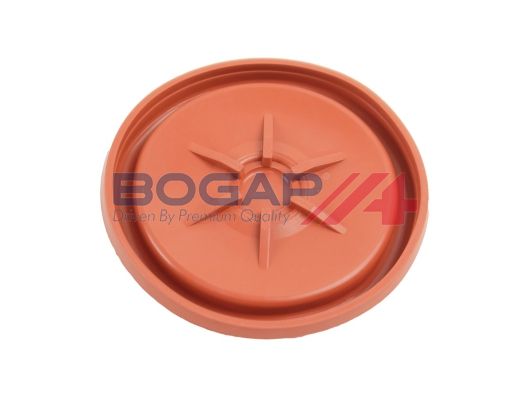 Клапан, отвода воздуха из картера - BOGAP B1116115