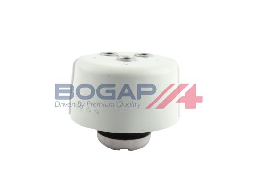 Подвеска, двигатель - BOGAP C1911109