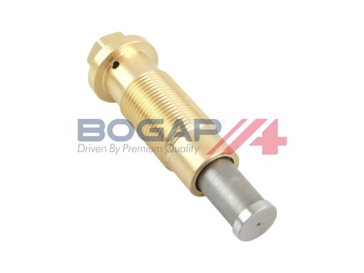 Натяжитель, цепь привода - BOGAP C1312100
