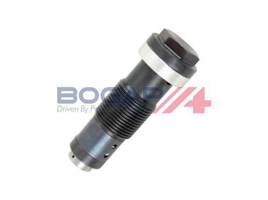 Натяжитель, цепь привода - BOGAP C1312101